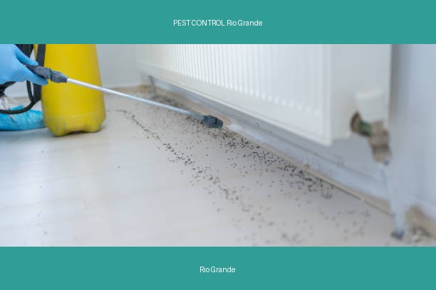 PEST CONTROL Rio Grande